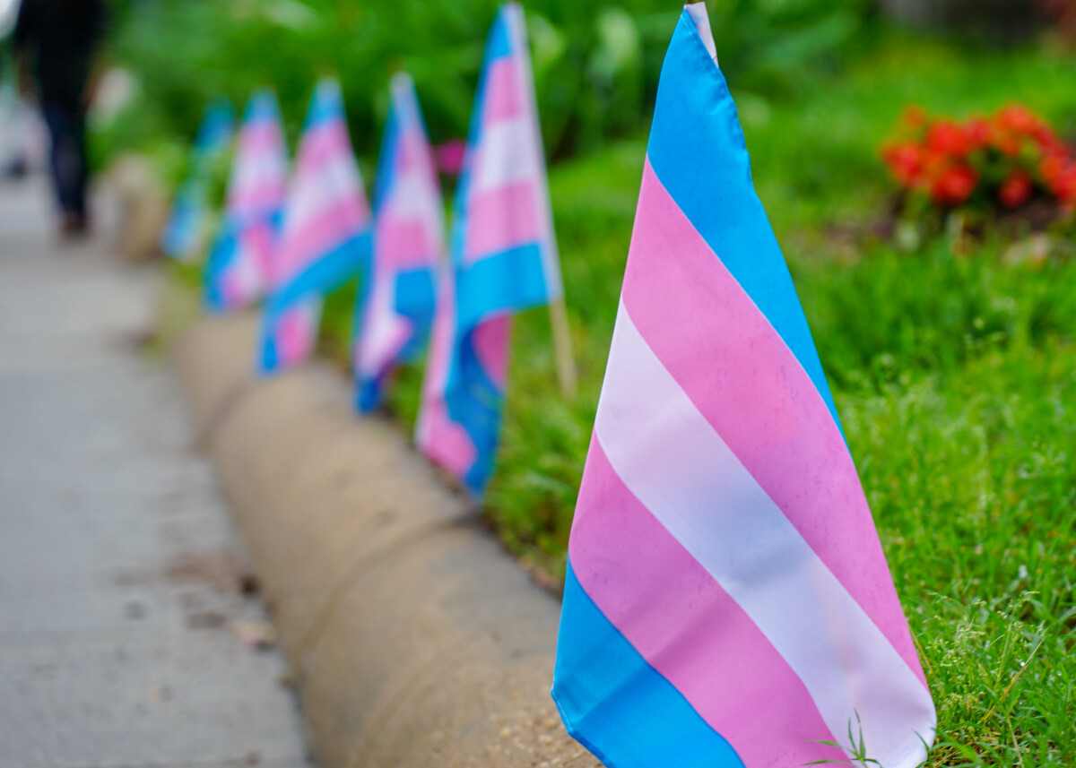 trans-flags